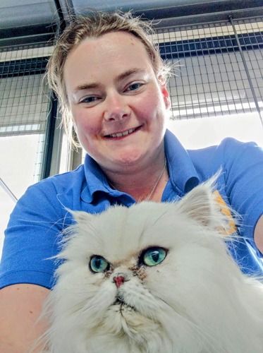 selfie of brunette woman wearing blue Cats Protection t-shirt with long-haired white Persian cat