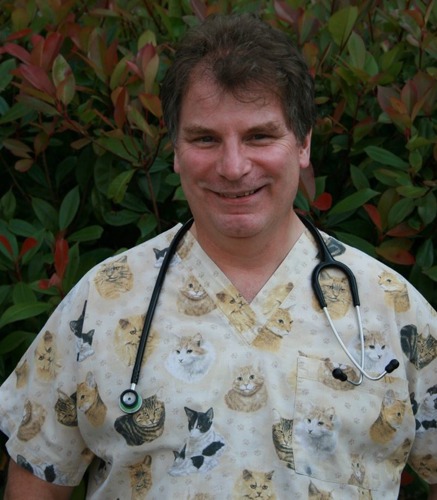 Man with short brown hair wearing medical scrubs with a cat print and a stethoscope around his neck