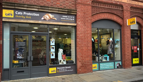 Exterior of Cats Protection charity shop