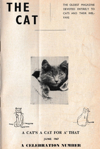 The Cat magazine cover June 1967