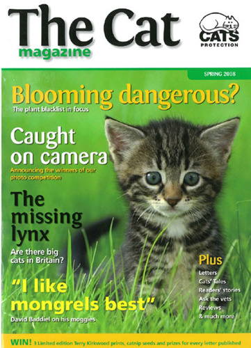 The Cat magazine cover Spring 2008