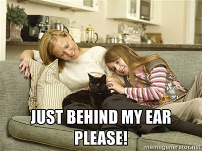 black cat being stroked by mum and daughter on sofa meme