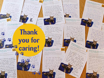 handwritten letters from Cats Protection supporters about their long-stay cat