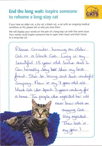 handwritten note from a cat owner inspiring other people to adopt a cat