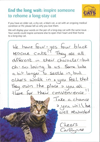 handwritten note from a cat owner who has 4 black cats inspiring other people to adopt a cat