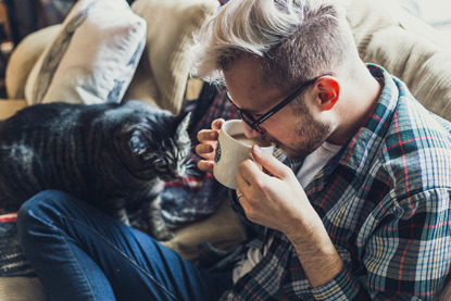tabby cat and man drinking coffee on sofa