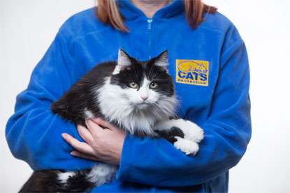 black and white longhaired cat held by woman in Cats Protection fleece
