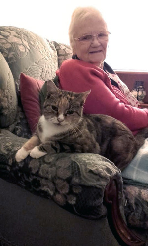 tabby cat sitting on sofa next to elderly woman