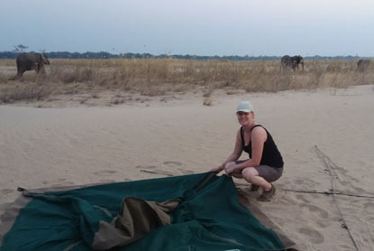 woman setting up a tent with elephants behind her