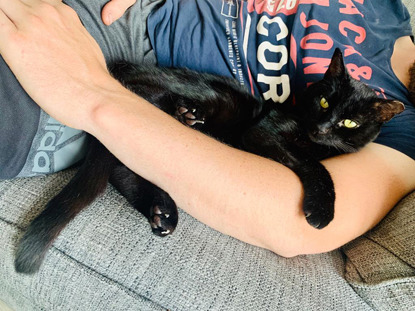 black cat lying in man's arms on grey sofa