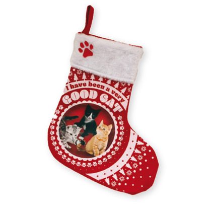 Christmas stocking for your cat