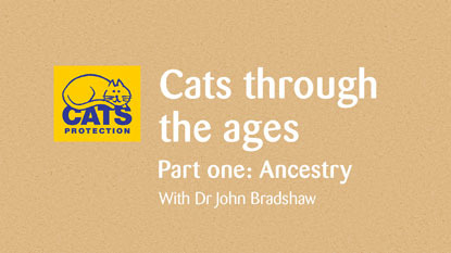 Graphic that says 'Cats through the ages. Part one: Ancestry with Dr John Bradshaw'