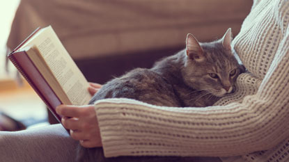 Cat curled up on book lovers' lap