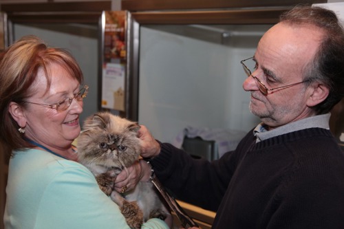 woman and man holding Persian cat in adoption centre