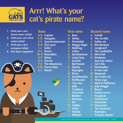 cat pirate name generator graphic