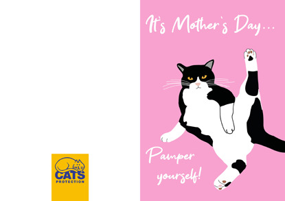 mother’s day card for cat lover