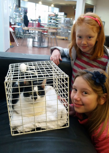 two young girls with black and white cat in cat carrier
