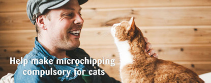 man wearing cap with ginger cat