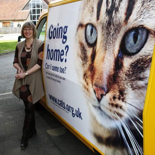 Blonde lady next to Cats Protection van