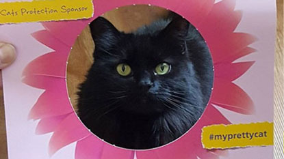 long haired black cat in Cats Protection's flower photo frame