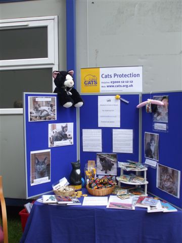 A Cats Protection stand at a local fete