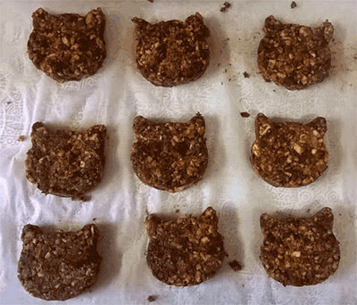 cat shaped healthy cookies