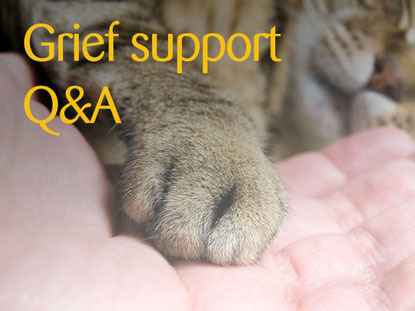 cat's paw with 'grief support Q&A' text