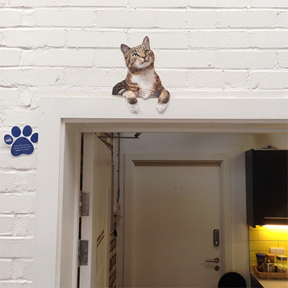 Paper cat cut-out above door frame