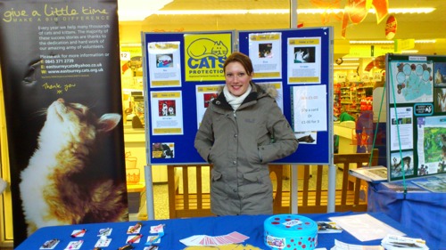Woman at Cats Protection stand at a Christmas fair