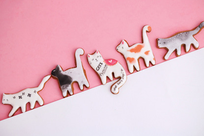 cat-shaped biscuits on pink background