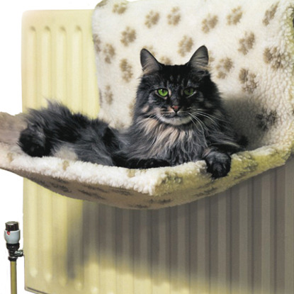 tabby cat on radiator bed