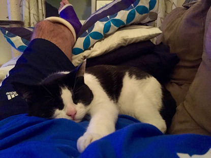 black and white cat on lap of man wearing a cast on his leg