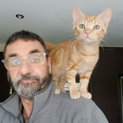 ginger tabby cat sitting on man's shoulder