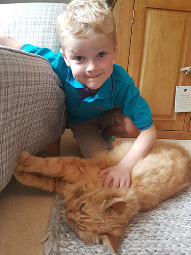young blonde boy stroking longhaired ginger cat