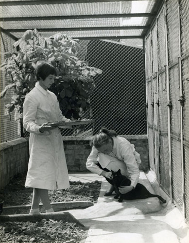 black and white archive photo of two women with a black cat in an outdoor cat pen