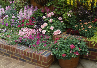 simple garden with raised flower beds