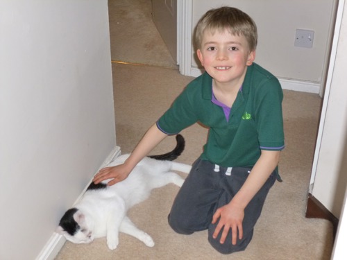 little boy stroking white and black cat