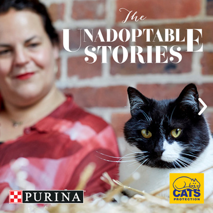 black and white cat next to owner with Cats Protection and Purina logos