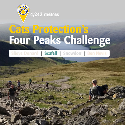 Cats Protection's Four Peaks Challenge – Scafell trek