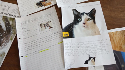 schoolchildren's posters about cat care