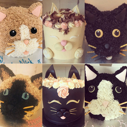 six cakes decorated as cats