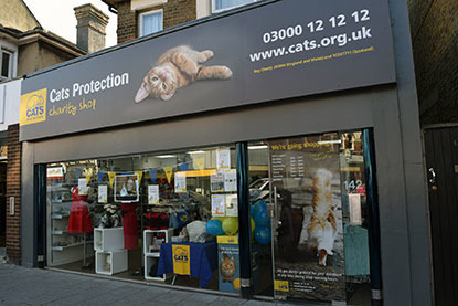 Cats Protection shop in Westcliff-on-Sea