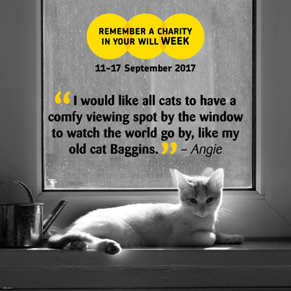 Remember a Charity Week graphic 2017 – white cat