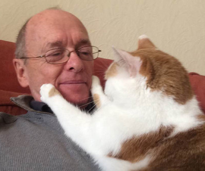 ginger and white cat sitting on man's chest with paws around his face