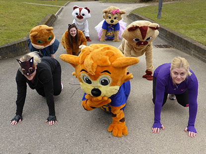 group of people dressed as cats and in cat costumes at a race starting line