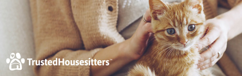 ginger kitten and TrustedHousesitters logo