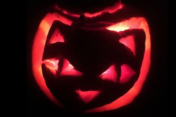 Carve your own crafty cat pumpkin