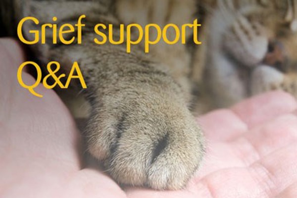 Coping with pet-related grief FAQs – part 2