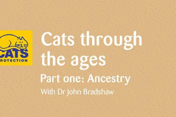 Cats through the ages: Ancestry