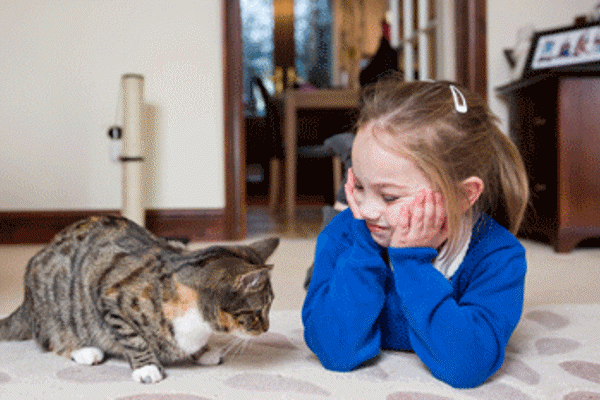 How to teach your child to care for and bond with your cat